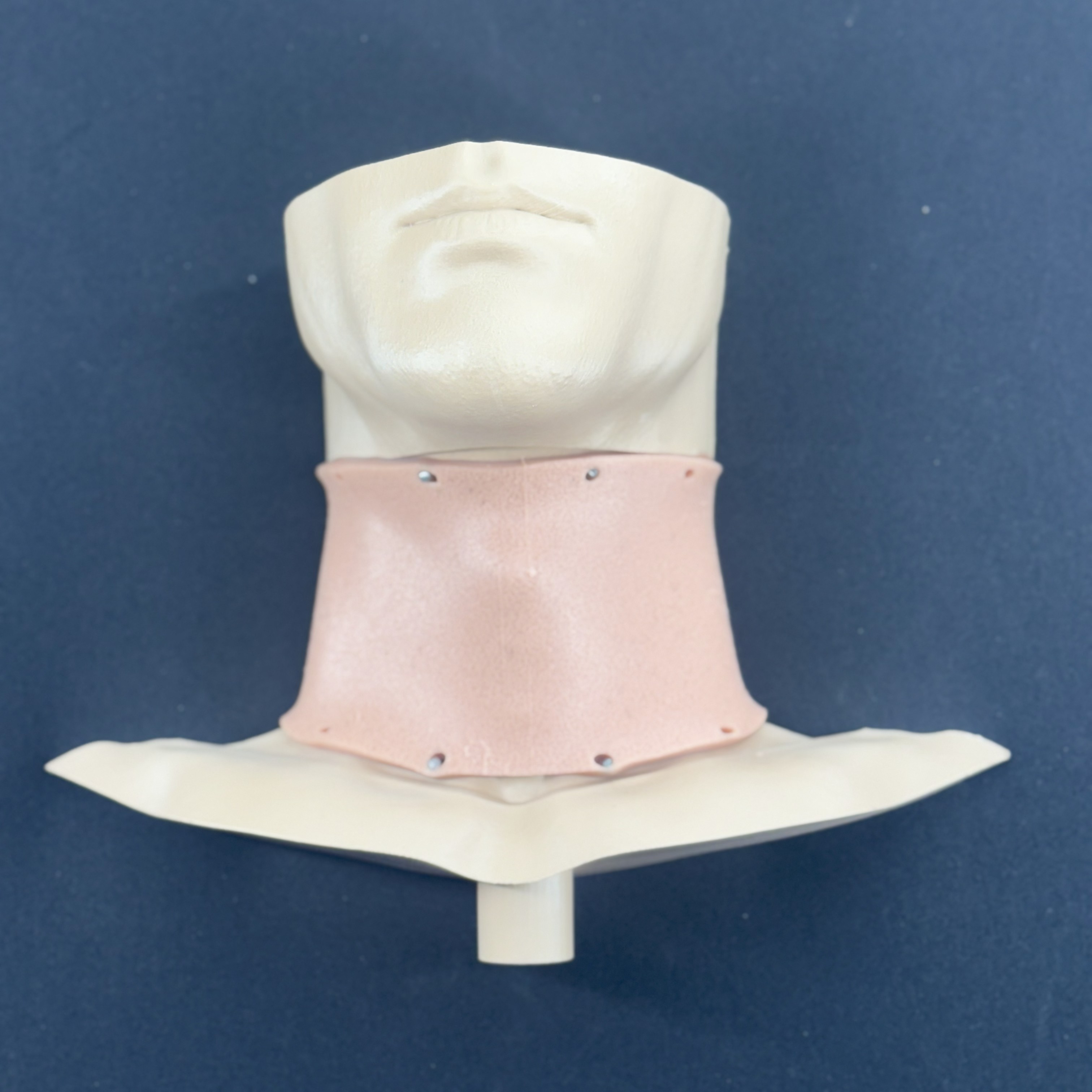 Larry N. Geal adult cricothyrotomy trainer with palpable landmarks